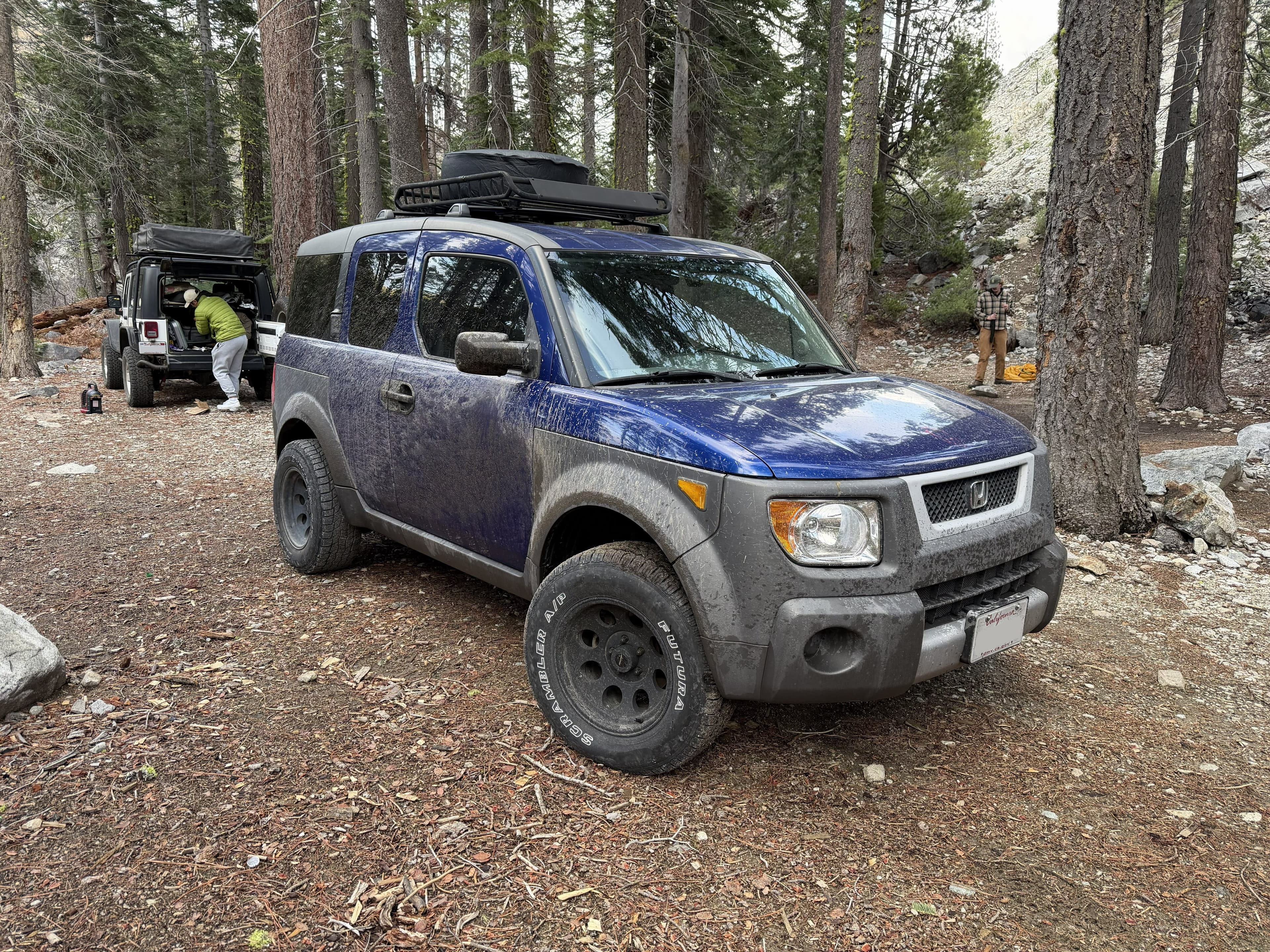 Pre-Purchase & Pre-Road Trip Inspections